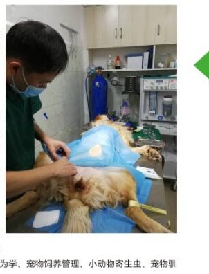 永州职业技术学院单招宠物养护与驯导专业介绍