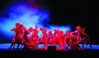 湖南艺术职业学院单招中国舞表演专业