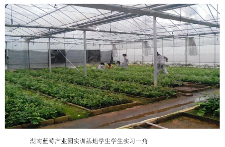 湖南生物机电职业技术学院绿色食品生产与检验专业介绍(高职单招)